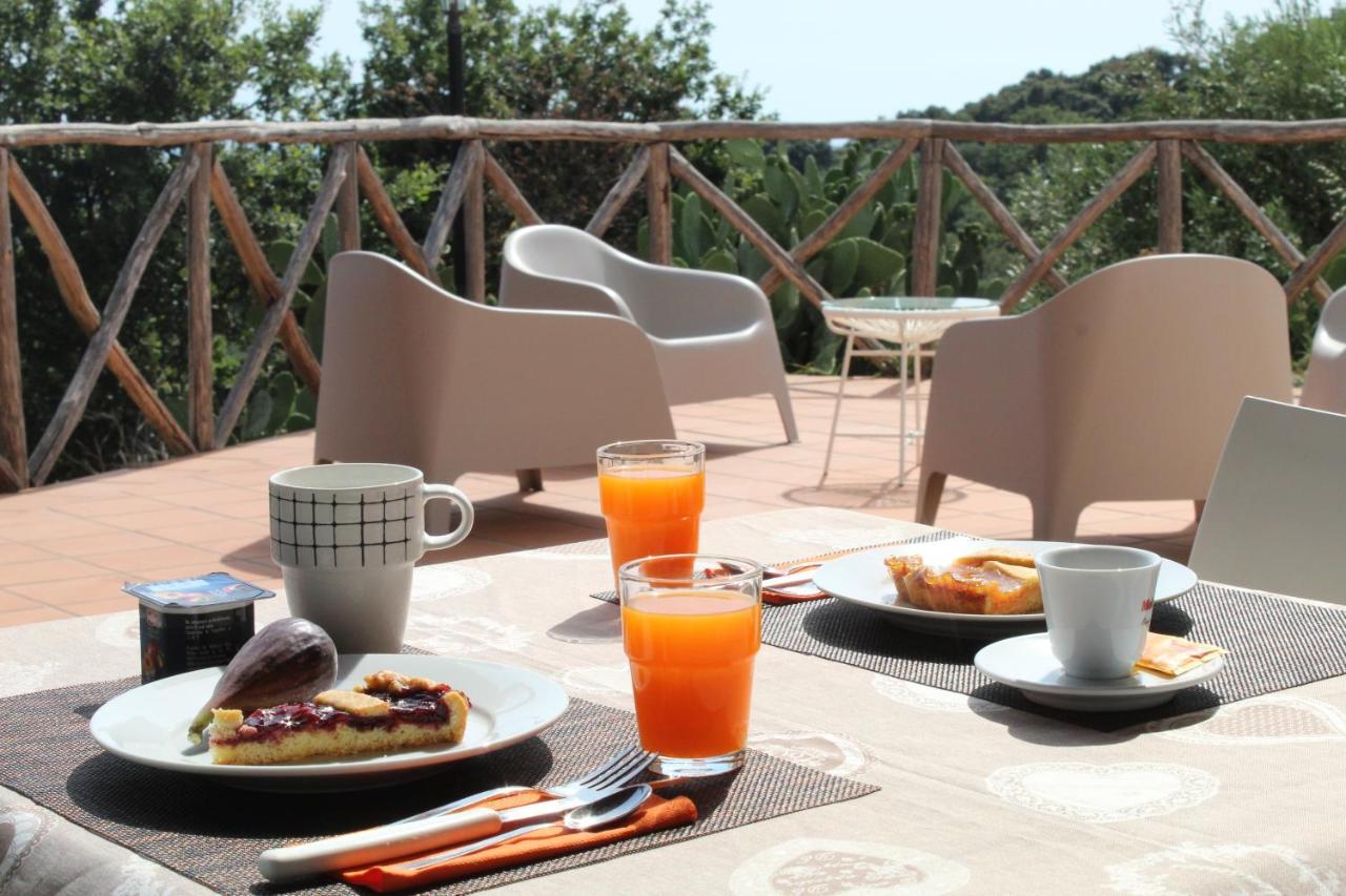 Casale Calabria Bed and breakfast Gizzeria