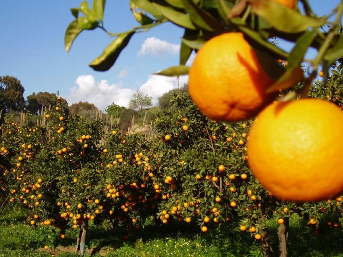 Casale Calabria Frühstückspension *